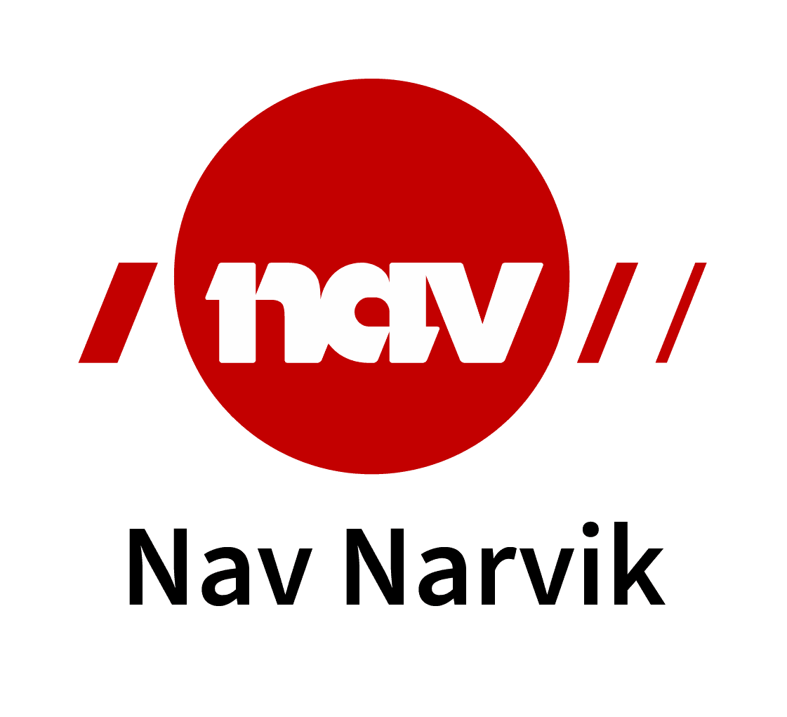 Narvik kommune